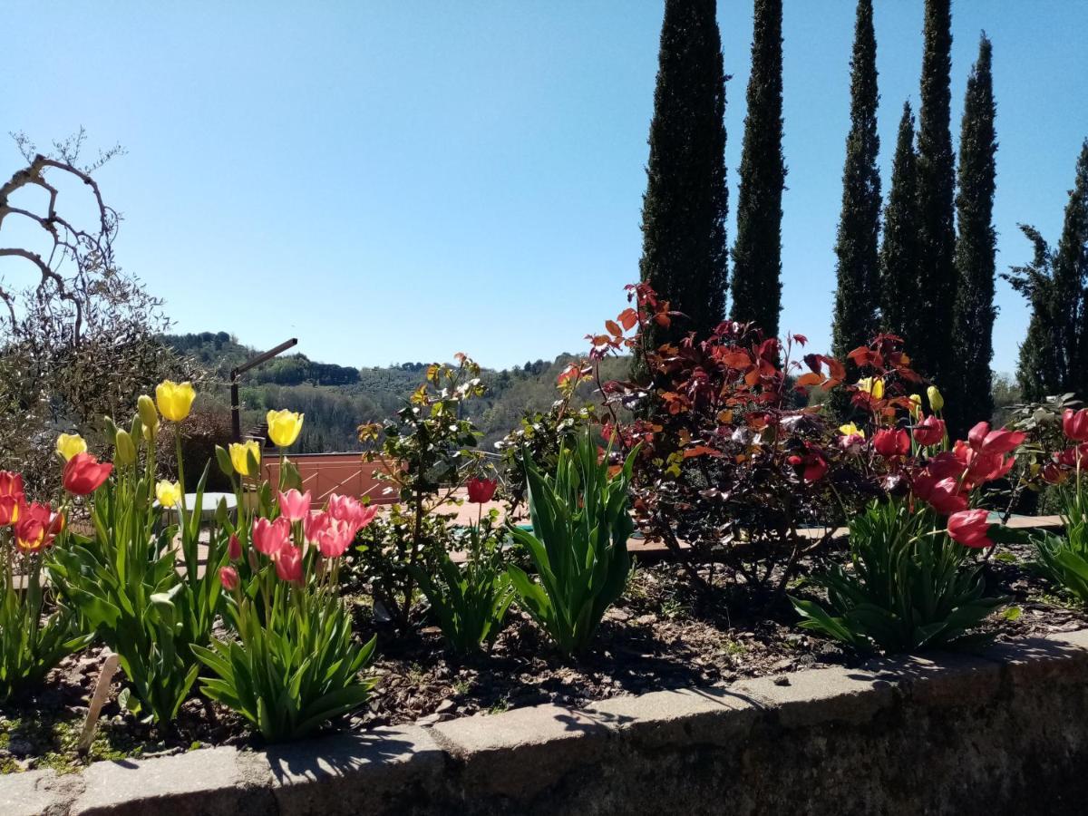 Villa Gervasella Pontedera Exterior foto